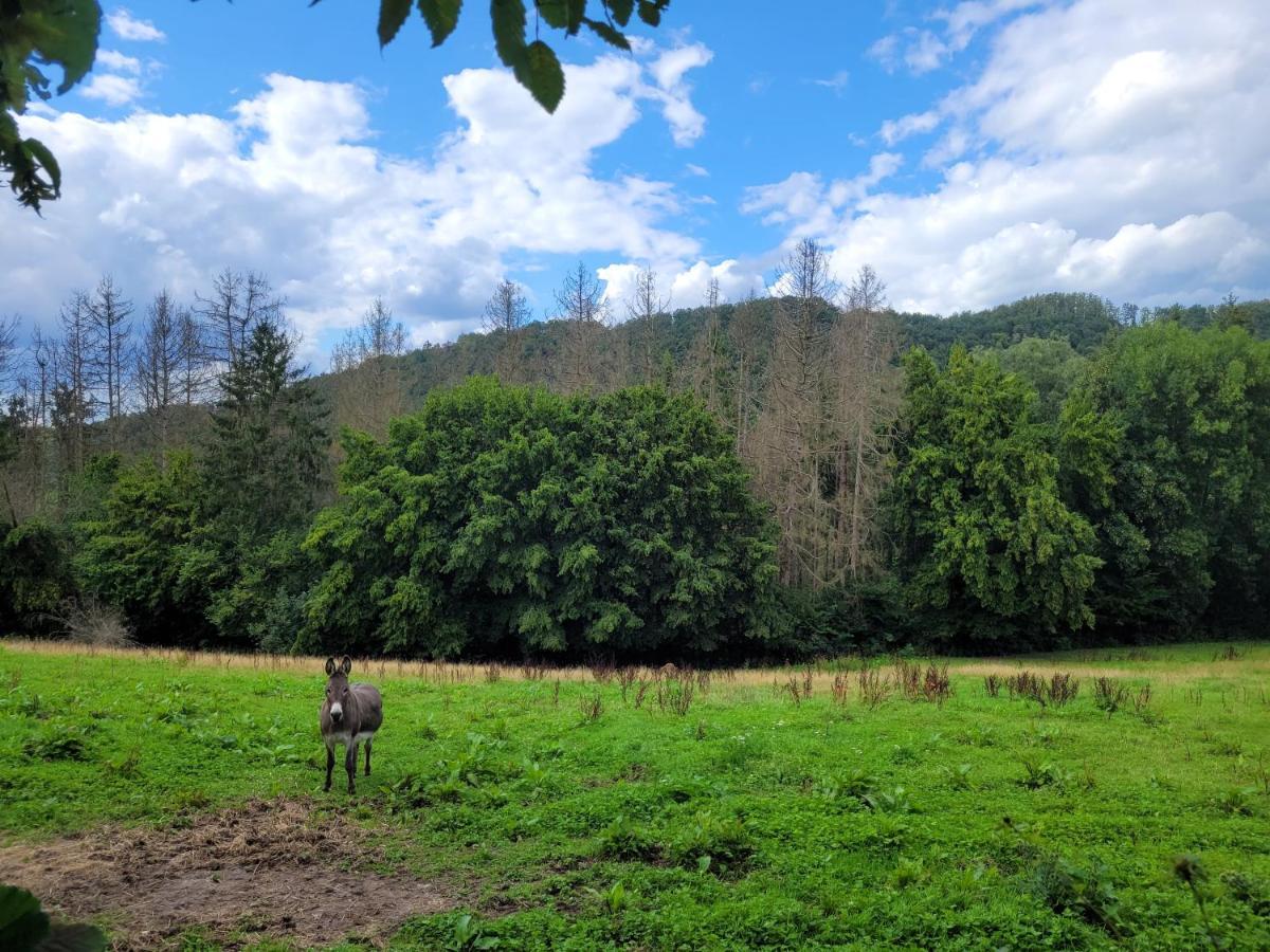 Gite De Trasenster Trooz Exteriér fotografie