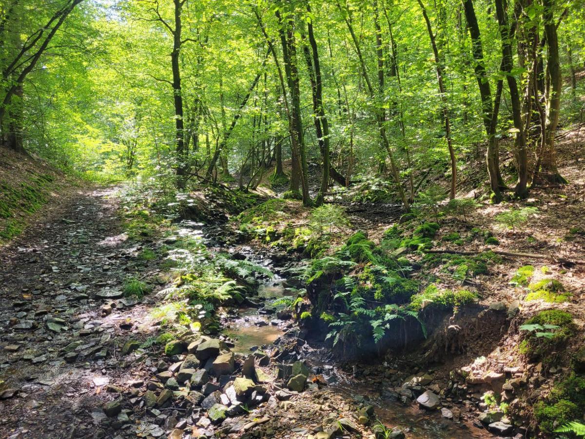 Gite De Trasenster Trooz Exteriér fotografie